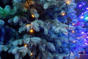 Новый год — 2026: история и традиции праздника в России