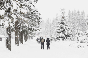 Производственный календарь на январь 2026 года: как отдыхаем и сколько денег получим