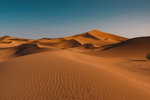 Нужен только загранпаспорт: безвизовые страны для россиян в 2026 году