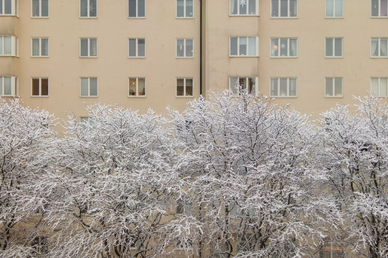 На выходных Тюмень ждет потепление с небольшими осадками