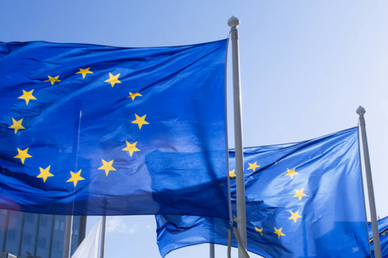 Адвокат Островскис: до 20% россиян добиваются отмены санкций ЕС против них