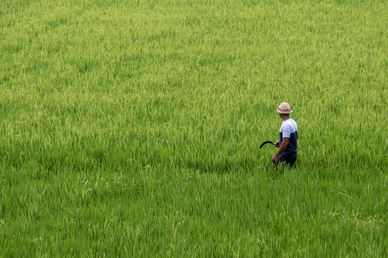Госдума одобрила увеличение объема сверхурочной работы до 240 часов в год