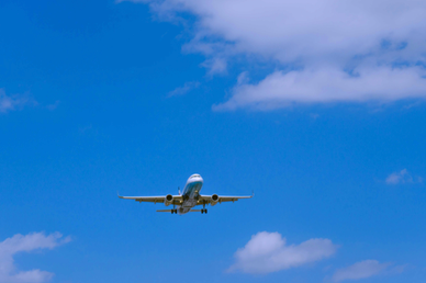 АТОР: в странах Ближнего Востока было около 55 тыс. туристов из России