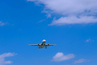 Минтранс РФ: 5 марта с Ближнего Востока вывезут 8 тыс. туристов