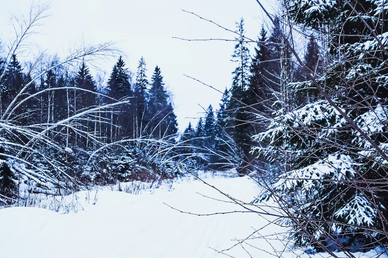 Под Москвой хотят снести две тысячи домов из-за секретного указа
