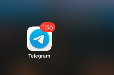 В Совфеде подтвердили, что власти РФ последовательно вводят меры против Telegram
