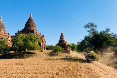 Россия и Мьянма запустят прямые авиарейсы из Москвы