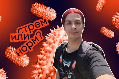 «Сам решу», свага и дикий огурец: топ-20 лучших мемов 2025 года