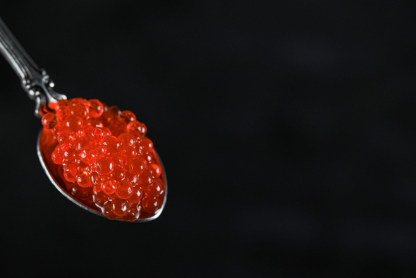 Глава Росрыболовства Шестаков: россиянам хватит икры на 8 марта