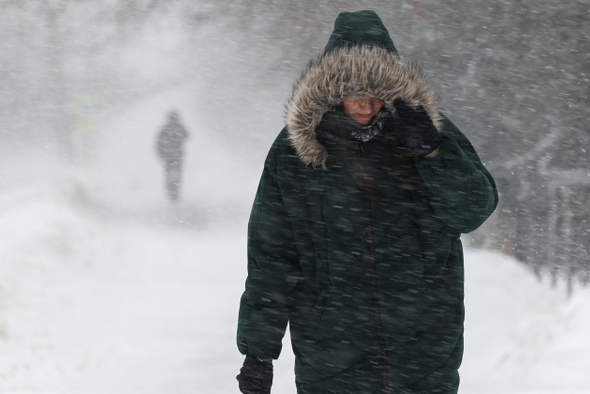 Москву ждут холода. Когда из-за морозов можно не ходить на работу и в школу?