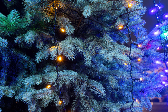 Новый год — 2026: история и традиции праздника в России