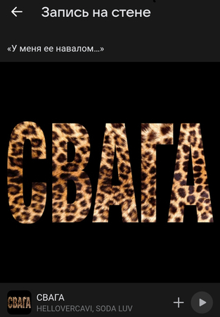 Скриншот со страницы Soda Luv во «ВКонтакте»
