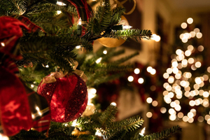 Как правильно выбрать елку? Самый важный предновогодний гайд