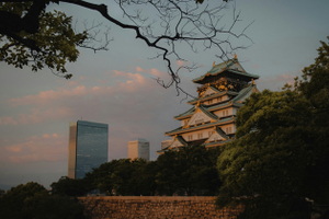 «Поехать в Японию выгоднее, чем в Сочи»: чем эта страна так привлекает россиян?