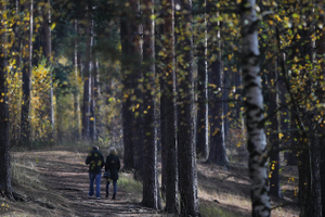 Производственный календарь на 2026 год: как будут работать и отдыхать в России