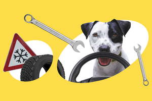 Как правильно подготовить машину к зиме: полезные лайфхаки