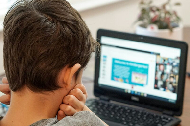 Мизулина поддержала Володина в споре о платных функциях электронных дневников