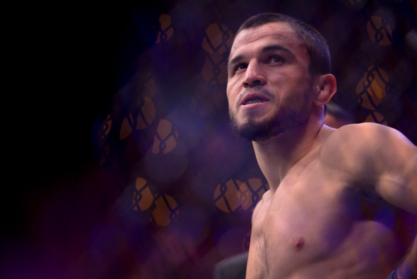 Возвращение брата Хабиба, главная красотка UFC и титульник тяжеловесов: превью турнира в Абу-Даби