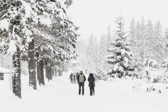 Производственный календарь на январь 2026 года: как отдыхаем и сколько денег получим