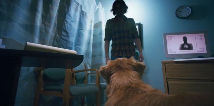 Кадр из фильма «Глазами пса»