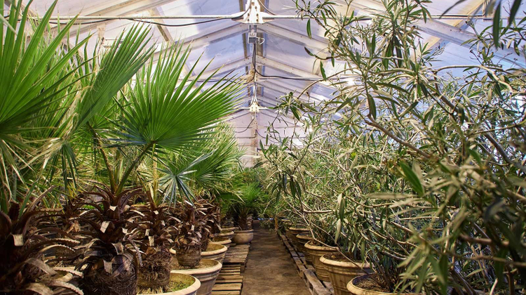 Пресс-служба Департамента культуры города Москвы