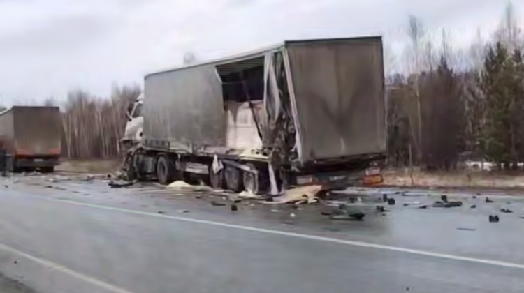 Госавтоинспекция Челябинской области