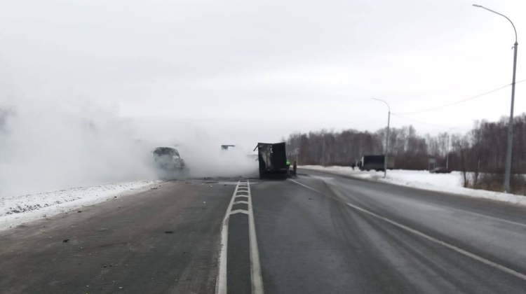 Прокуратура Новосибирской области/Telegram