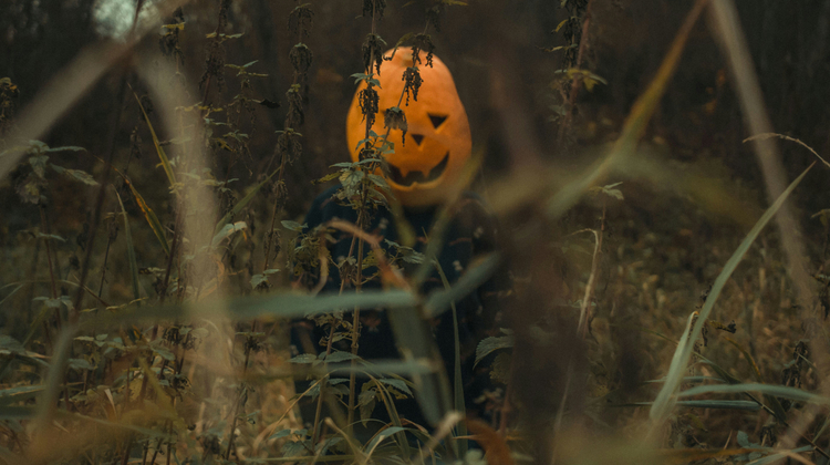 Annie Smurova/Unsplash