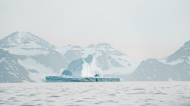 Annie Spratt/Unsplash