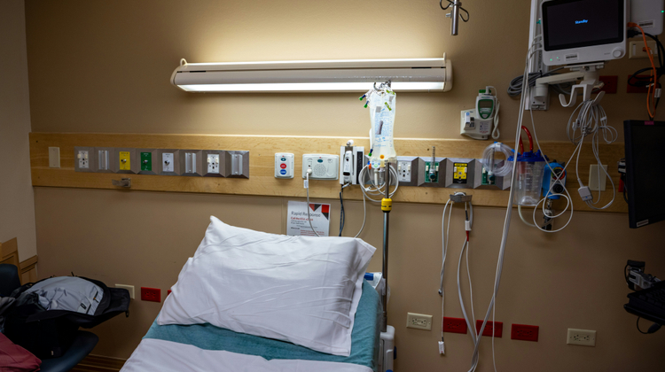 Judy Beth Morris/Unsplash