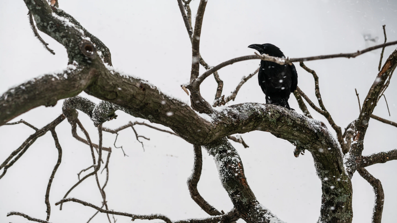 Кадр из фильма «Сущность»/«Кинопоиск»