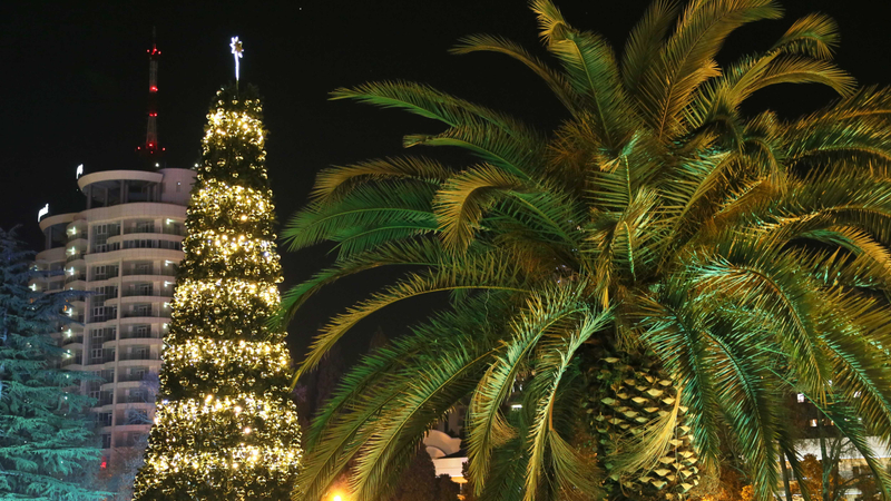 Сочи. Новогодняя елка на площади Искусств. Дмитрий Феоктистов/ТАСС