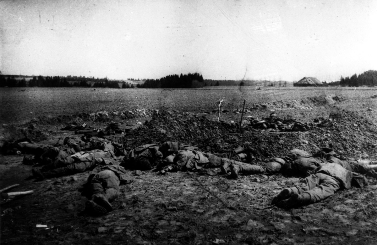 Поле боя, май 1915 года. Фото: ТАСС