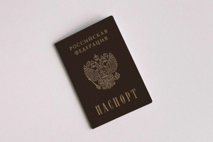 Общественники предложили запретить в РФ двойное гражданство. Что известно?