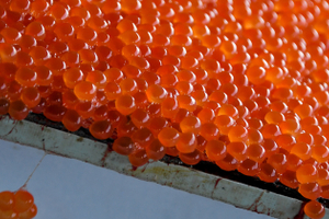 Красная икра по цене черной: эксперты прогнозируют резкое подорожание деликатеса