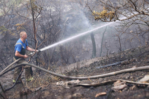 По всей России полыхают пожары. С чем это связано и пора ли бить тревогу?