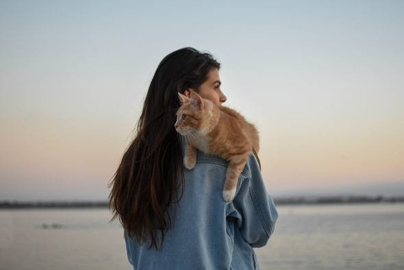 Шизофрения и счастье в одиночестве: как кошки влияют на психическое здоровье человека