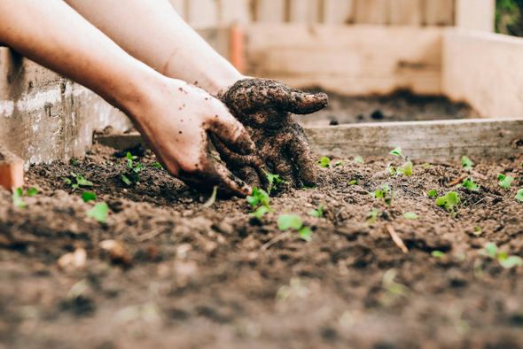 Садотерапия: как возня в огороде помогает избавиться от депрессии?