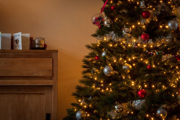 Аромат праздника: как живая новогодняя елка влияет на здоровье домочадцев