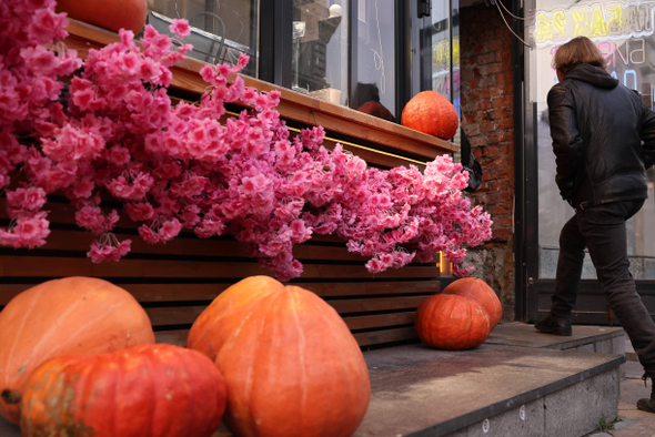 Тыквы, танцы и комиксы: лучшие фестивали октября 2025 года в России