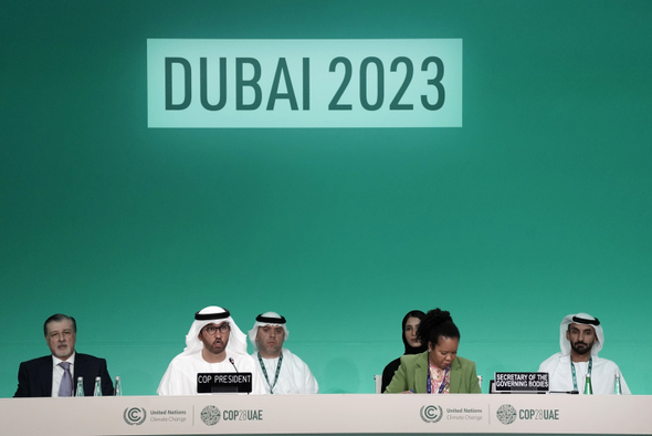 Сокращение выбросов и несогласие: итоги климатического саммита COP28 в Дубае
