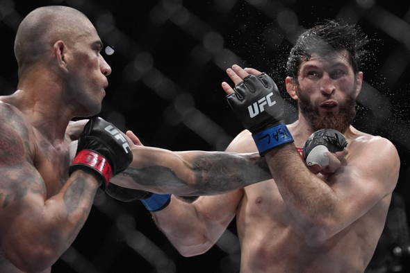 Первая защита Анкалаева и битва его преследователей: превью UFC 320