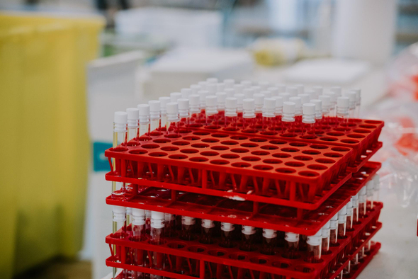 Вакцинация — не панацея? Почему она помогает бороться с COVID-19 одним и не спасает других
