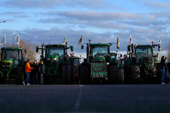 В Евросоюзе проходят массовые протесты фермеров. Чего они хотят?
