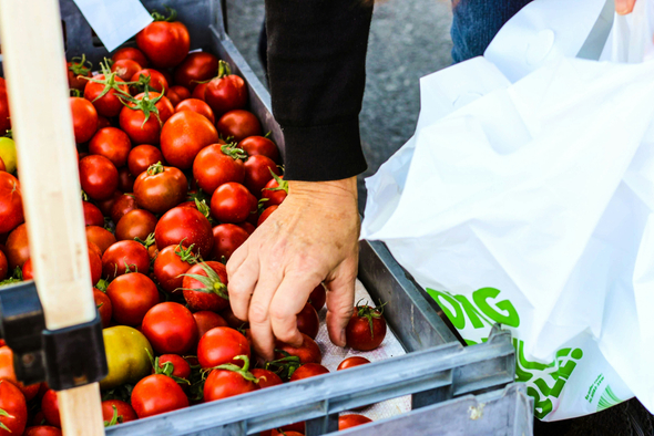 Рост цен на продукты: на чем можно сэкономить осенью — 2025