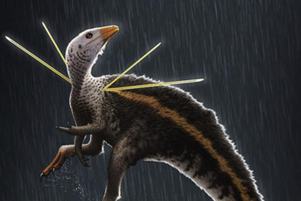 В Бразилии нашли новый вид динозавра