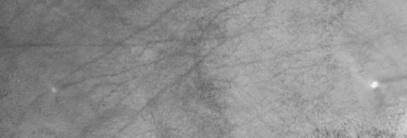 «Роскосмос» поделился фото гигантских смерчей на Марсе