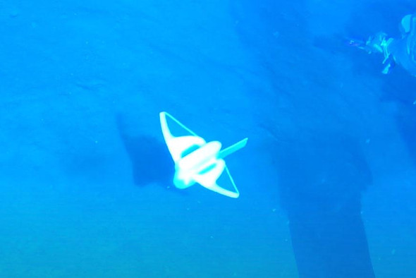 Рыба-робот в Марианской впадине