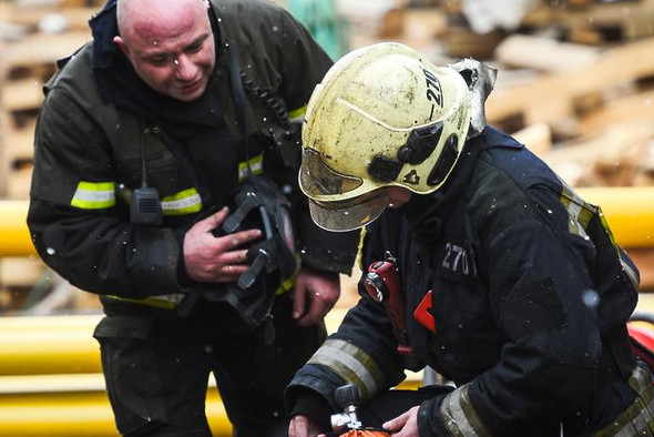 Пожарные из Подольска спасли животных во время пожара в квартире