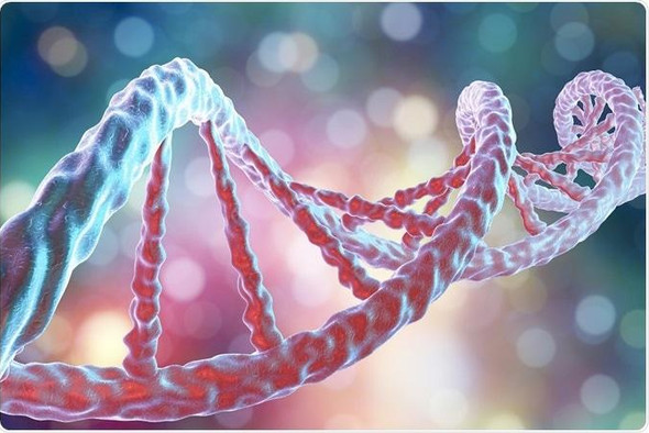 Ученые восстановили клеточную «генеалогию» человека